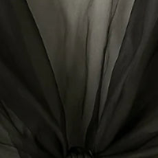 Organza
